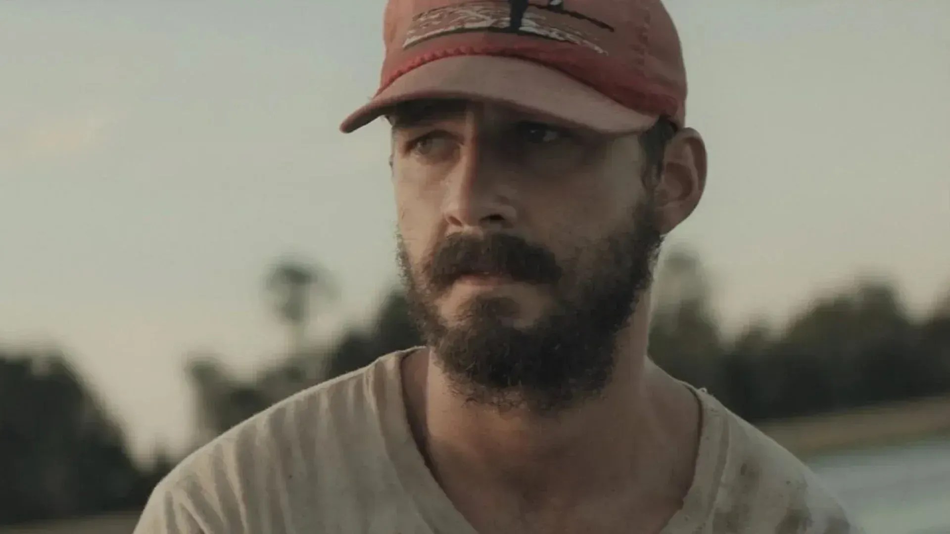 shia-labeouf