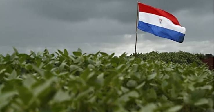 soja paraguai