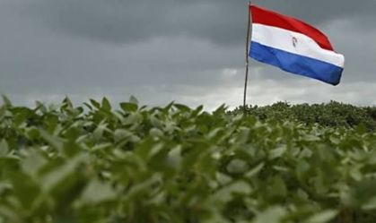 soja paraguai