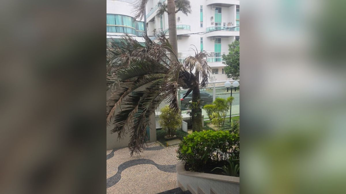 Duas pessoas morrem em desabamento após fortes ventos no Rio