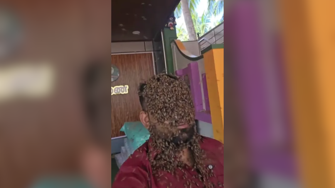 Homem indiano ficou mais de 5 horas com abelhas vivas cobrindo seu rosto