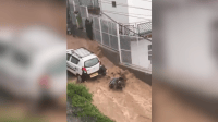 Vídeo: Mulher é quase arrastada pela água enquanto pilotava moto na Índia