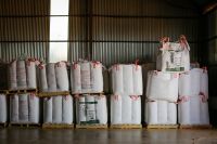 Mercado de fertilizantes tem comportamentos distintos em agosto, diz Biond