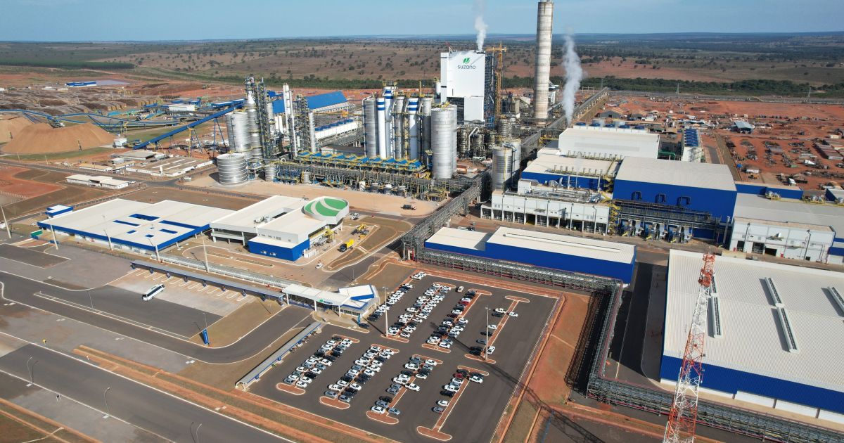 Suzano registra lucro líquido de R$ 1,8 bi no segundo trimestre