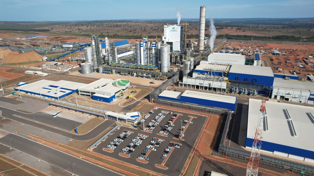 Suzano registra lucro líquido de R$ 1,8 bi no segundo trimestre