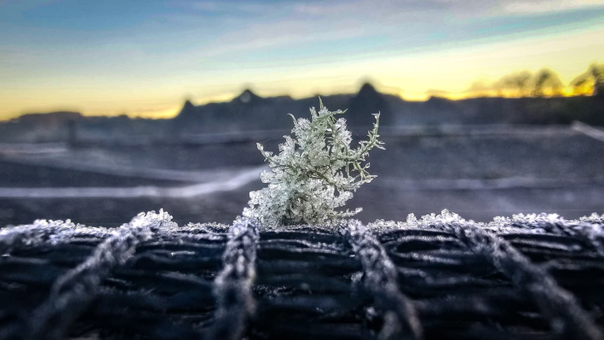 Frio Intenso Provoca Temperaturas Abaixo De Zero Nos Tres Estados Do Sul