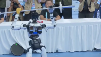 Robô 'se revolta' após levantar peso, invade mesa dos juízes e sai de maca nos Jogos Humanoides; assista