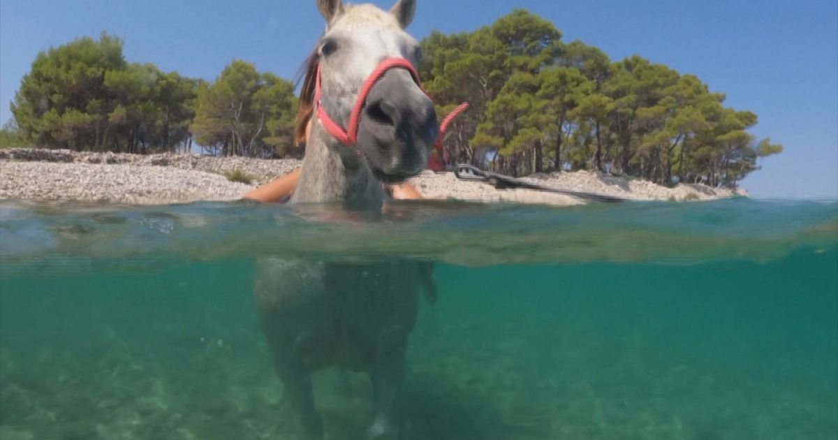 Vídeo: Em meio à onda de calor na Croácia pessoas andam a cavalo na água