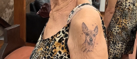 Aos 85 anos, idosa faz tatuagem para eternizar amor pelo seu cãozinho e se derrete de amor ao contar histórias sobre ele