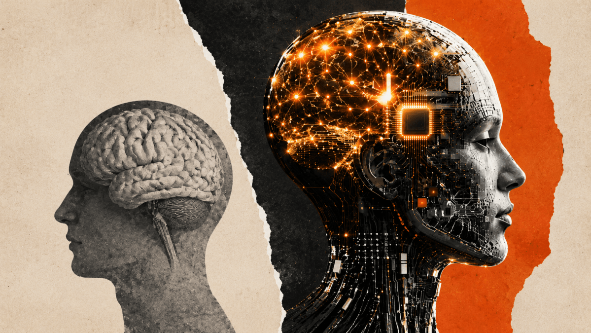 Ia Ja Supera Qi Medio Da Populacao Humana Indica Pesquisa