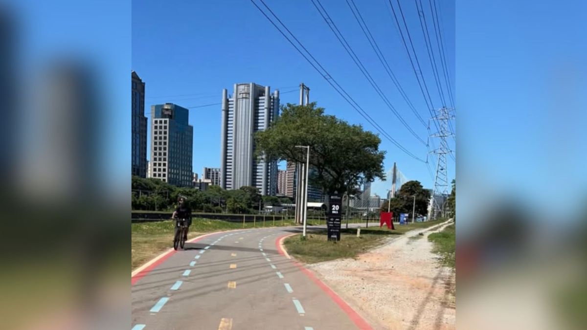 Lagos do Ibirapuera transbordam e peixes se espalham nas pistas de corrida
