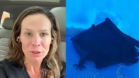 'Tem um morcego na minha boca!': mulher acorda com animal em seu rosto e sua reação viraliza na internet