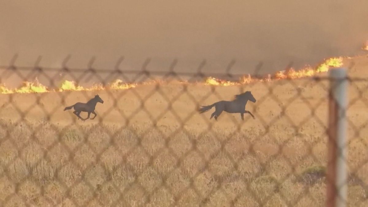 Onda de calor atinge Península Coreana e leva a medidas de emergência