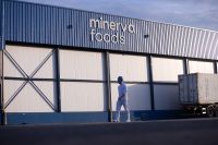 Minerva registra queda de 57% no lucro líquido do segundo trimestre de 2026