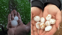 Cidades do RS registram fortes chuvas de granizo; veja imagens
