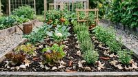 Descubra o segredo compartilhado por jardineiros experientes contra formigas e veja como cuidar de sua horta utilizando um material que seria descartado na cozinha