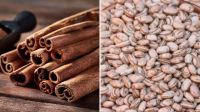 Inimigas da diabetes: entenda como canela e leguminosas controlam glicemia