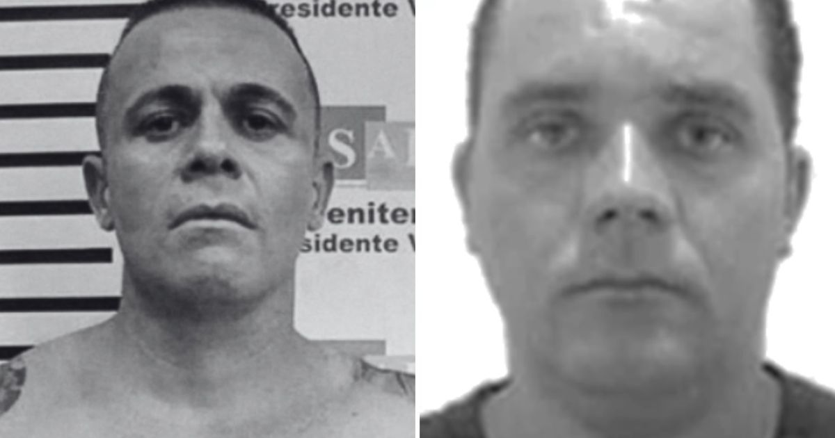 Imagem da matéria publicada por CNN Brasil