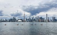 Trump pode mudar o nome do Lago Ontário para “Lago América”? Entenda