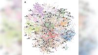 "Mapa" do autismo pode levar ao desenvolvimento de terapias direcionadas