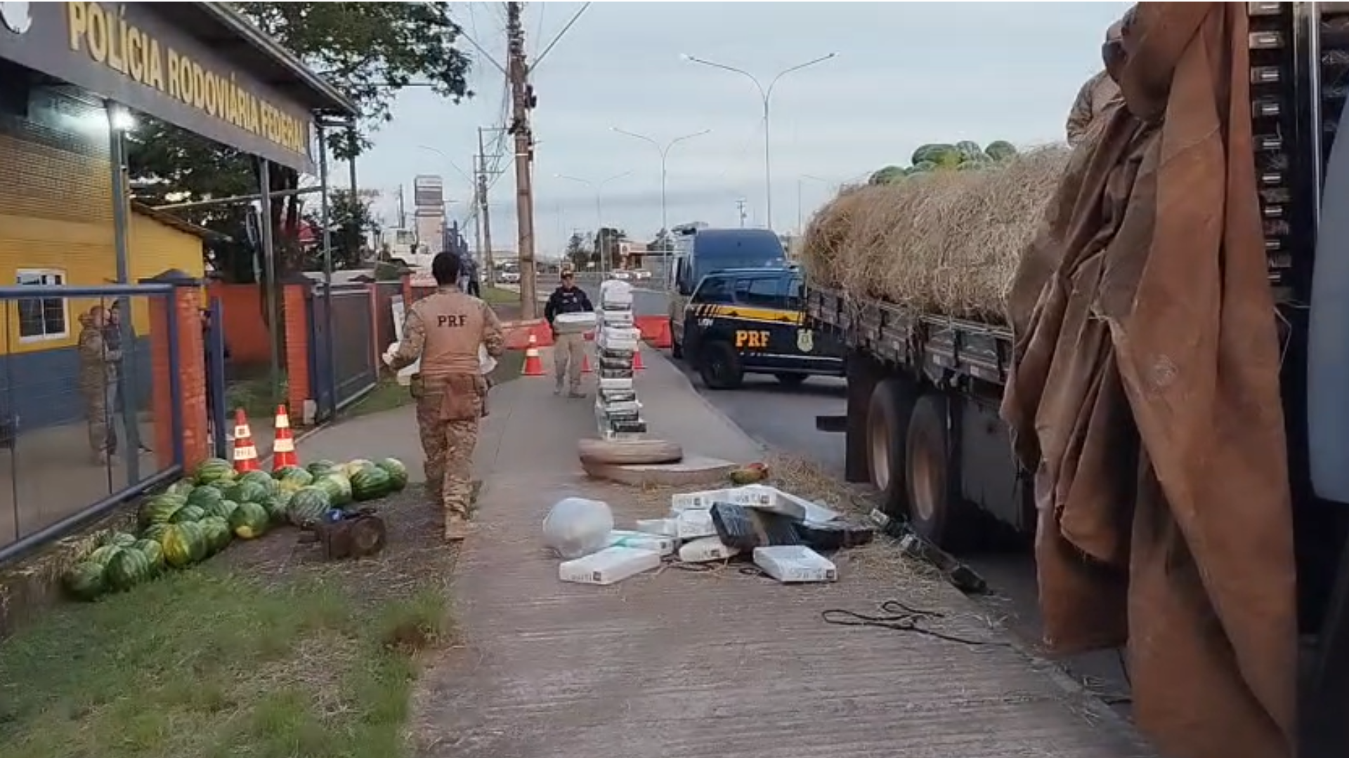 Após vistorias e com apoio de cães farejadores, os policiais encontraram 2,5 toneladas de maconha escondidas embaixo da carga de melancia e feno, na caçamba do caminhão