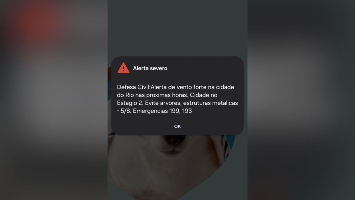 Defesa Civil emite alerta severo para fortes ventos no Rio de Janeiro