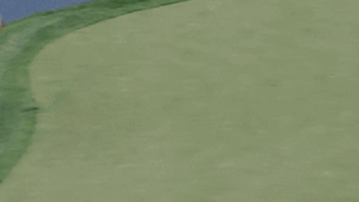 Peixe engole bola de golfe e rende punição a jogador em torneio nos EUA