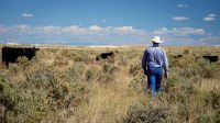 EUA anunciam plano para pecuaristas com prioridade à carne americana
