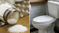 Sal no vaso sanitário: entenda como utilizar e efeitos de técnica caseira