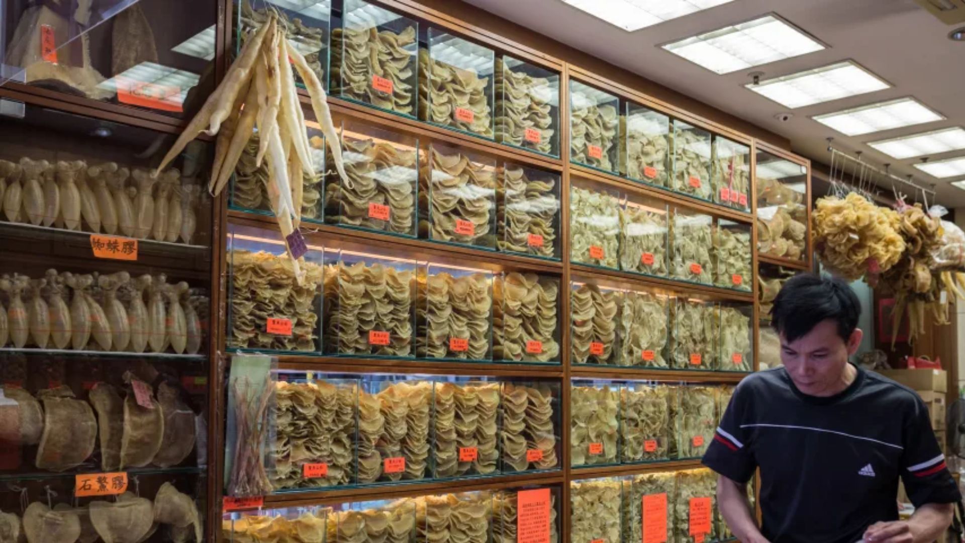 Uma loja em Hong Kong vende diferentes variedades de bucho de peixe seco. • Anthony Wallace/AFP/Getty Images