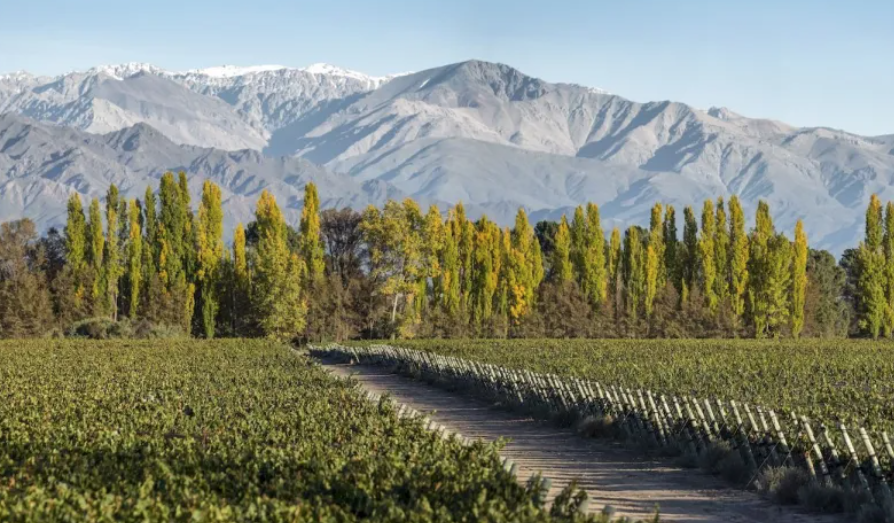 Terrazas de los Andes: uma jornada pelos terroirs de altitude de Mendoza