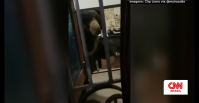 Vídeo: Urso invade casa na Índia, toma cozinha e assusta família