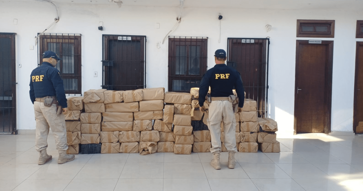 Prf Apreende Mais De Uma Tonelada De Maconha Na Rodovia Dutra Em Sp