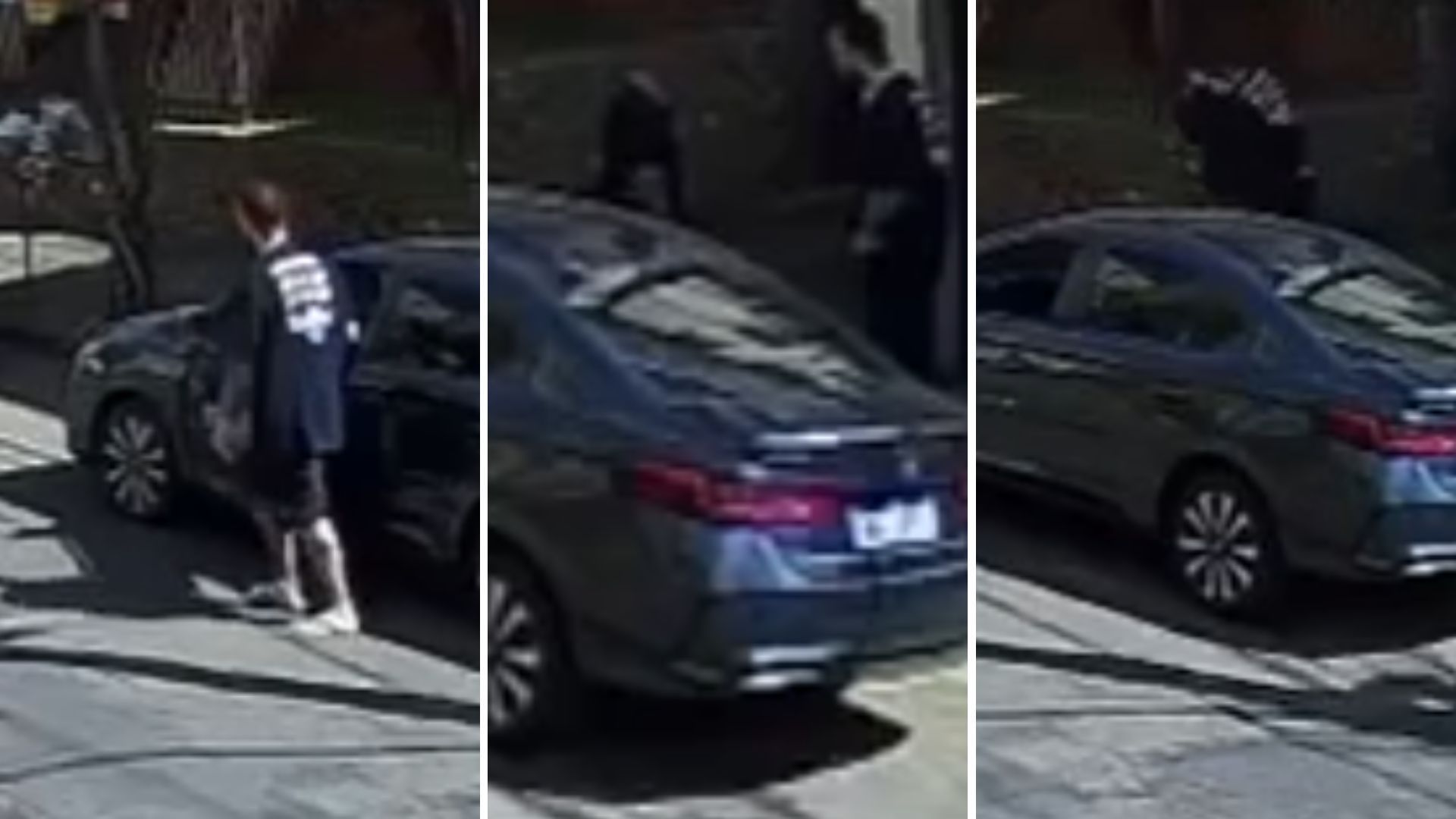 Vídeo homem agride idoso após discussão envolvendo cachorro em BH