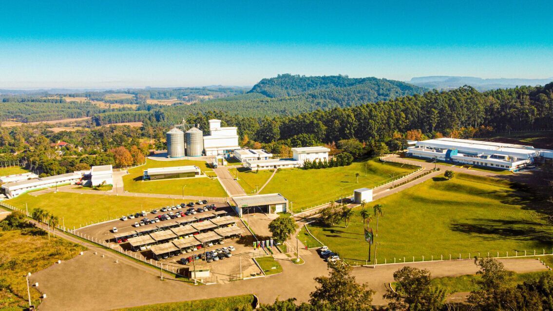 Vibra Foods Recompra Fatia Da Tyson E Retoma Controle Integral Da Empresa