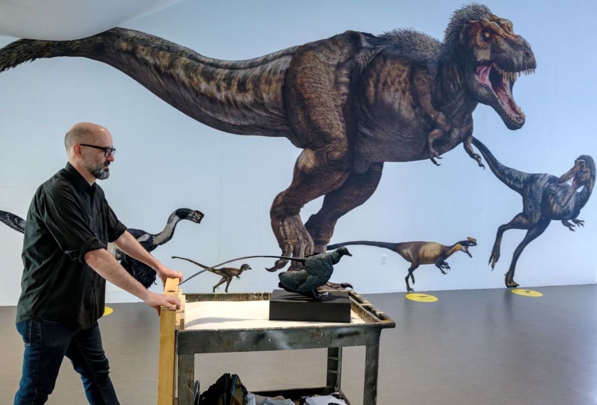 Dinossauro com penas é descoberto na China; pequeno predador de cerca de 57 centímetros de comprimento tinha penas longas