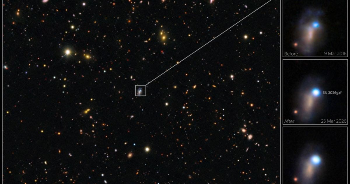 Astronomers observe complete death of massive star