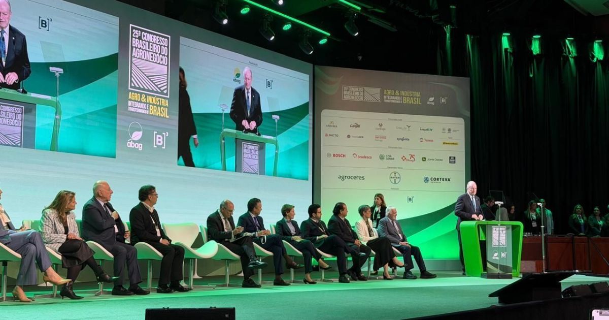 Grupo Para Mitigar Impactos Do Clima Deve Apresentar Propostas Essa Semana