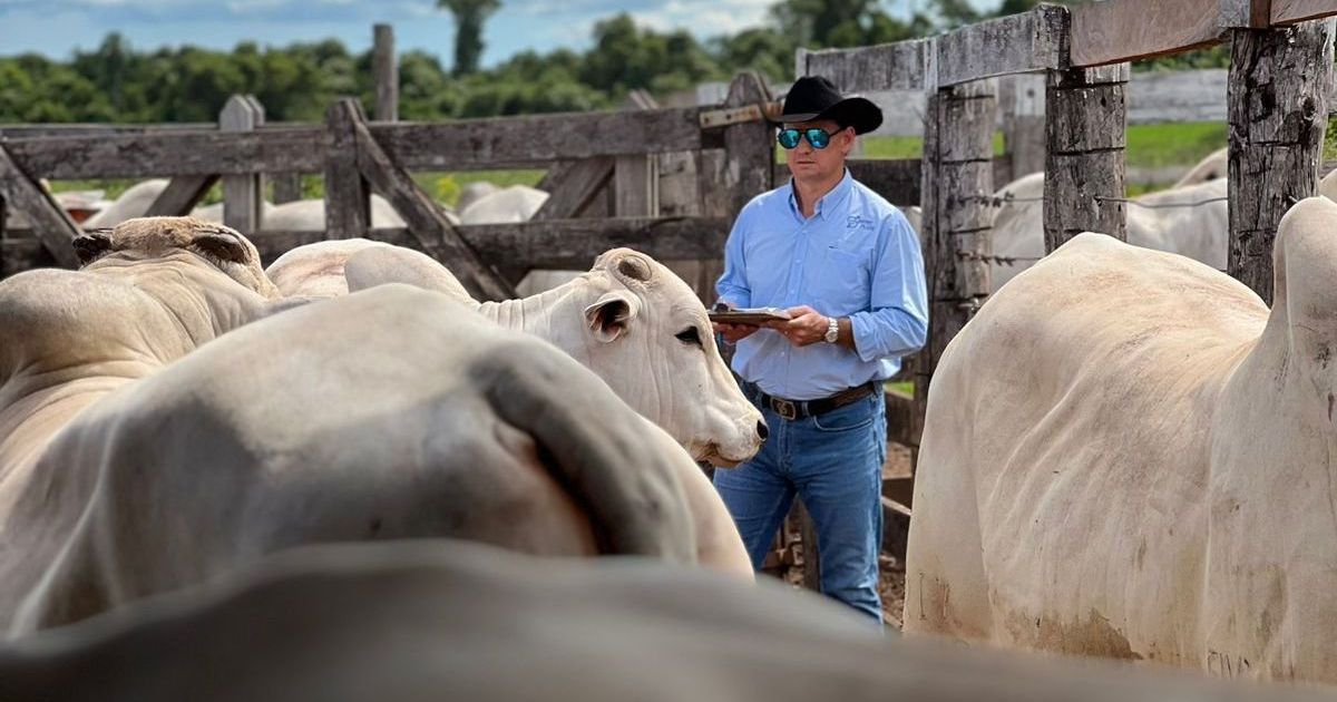 A ciência que transformou a pecuária brasileira em potência global | CNN Brasil