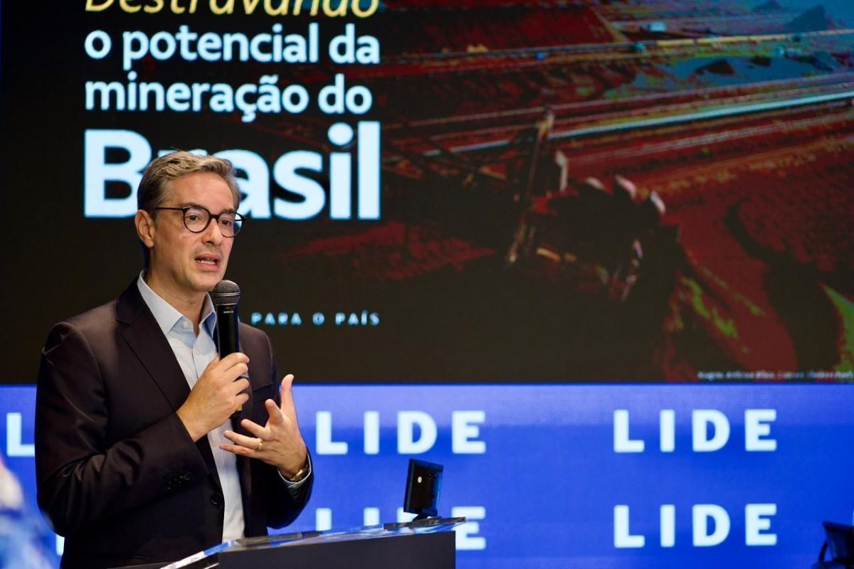 Ala do governo defende proibir ou taxar exportação de terras raras “brutas”