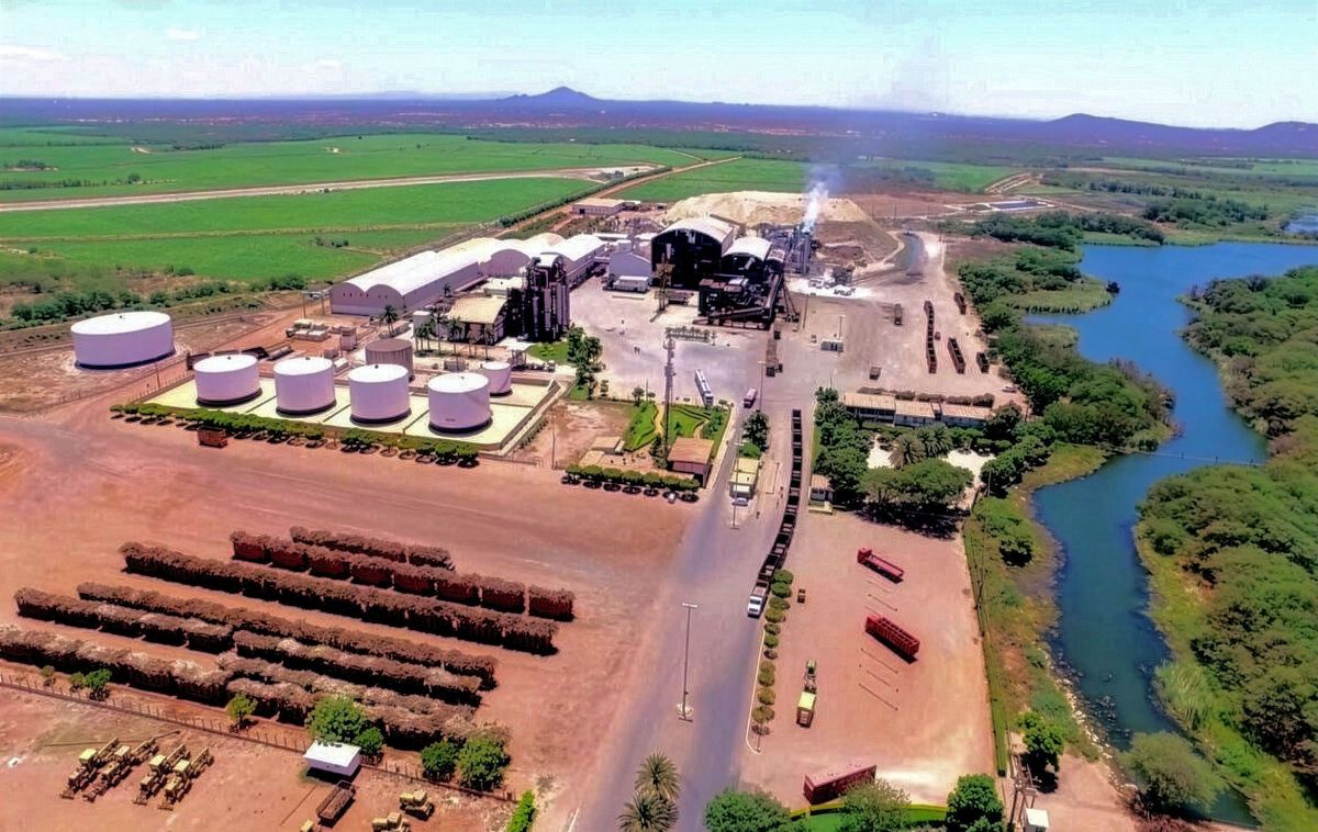 Agroterenas capta R$ 160 milhões para converter pastagens em cana-de-açúcar