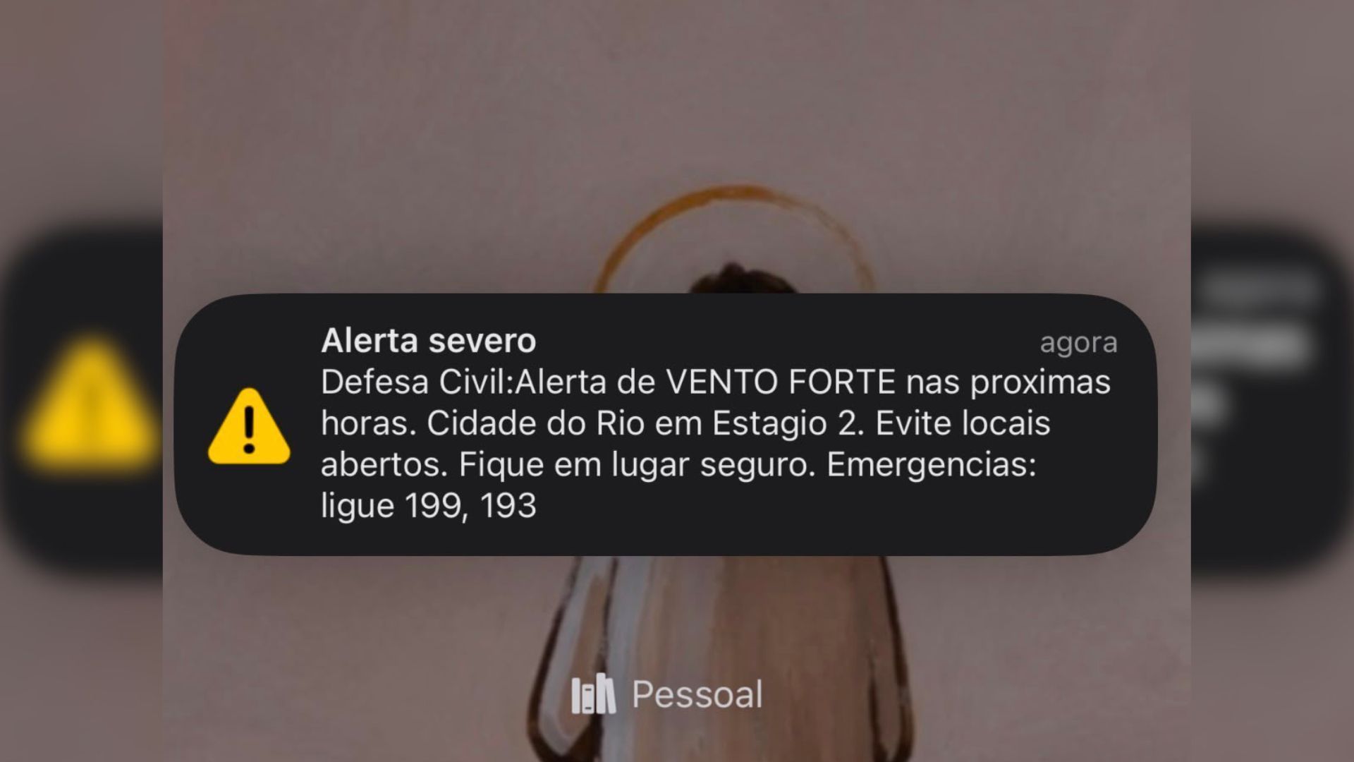 • Reprodução