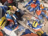 Veja: Brasileiros resgatam cachorra após 100 horas em escombros na Colômbia