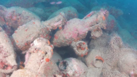 Pescadores descobrem naufrágio romano com centenas de ânforas na Sicília 93 coral