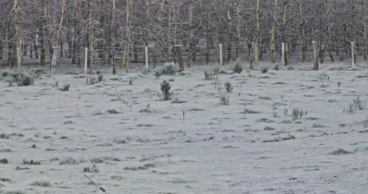 Frio intenso provoca geada e temperatura de -7,7°C em Santa Catarina