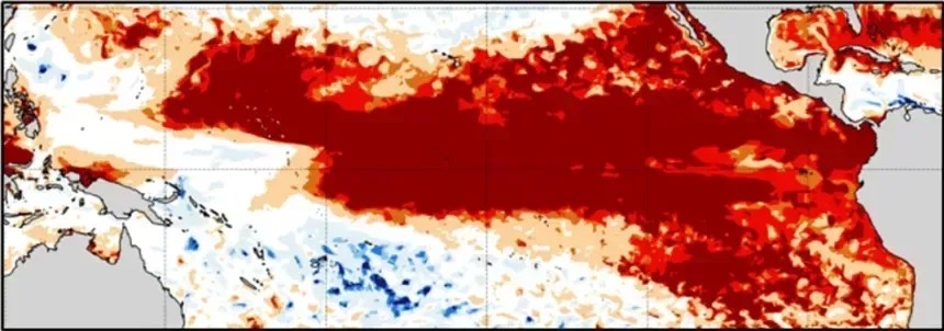 Este mapa do Pacífico tropical mostra a classificação dos extremos da temperatura da superfície do oceano em julho de 2026, com as áreas em vermelho mais escuro apresentando as condições mais quentes já registradas para o mês de julho. • Júlia Cole