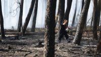 Clima extremo: incêndios provocam evacuações na França e Alemanha