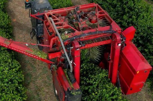 BC: Índice de Commodities agropecuárias avança 1,51% em julho