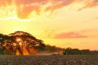 Agro pode gerar R$ 314 milhões em créditos de carbono até 2035, diz estudo