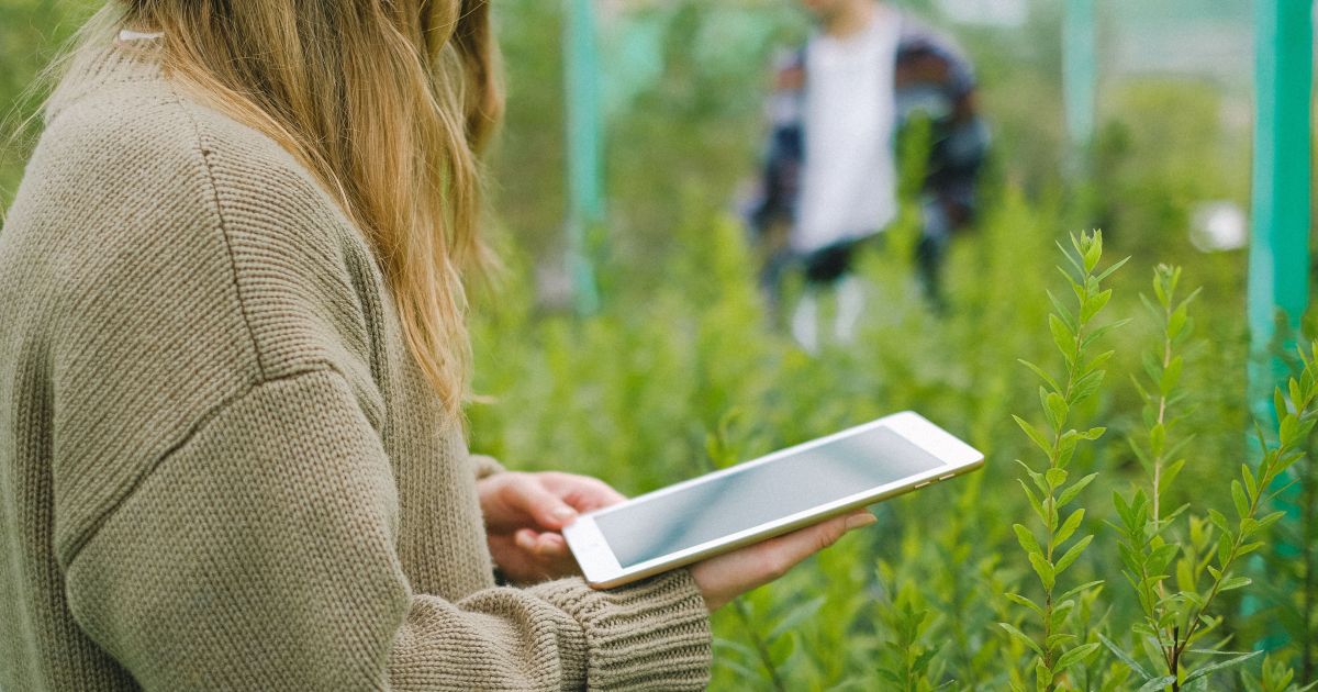 Sol mira nova fase de expansão e investe em integração tecnológica no agro
